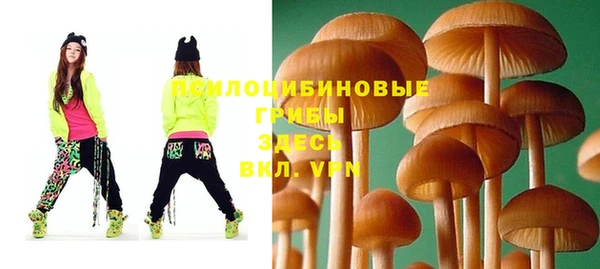 прущая мука Каменка